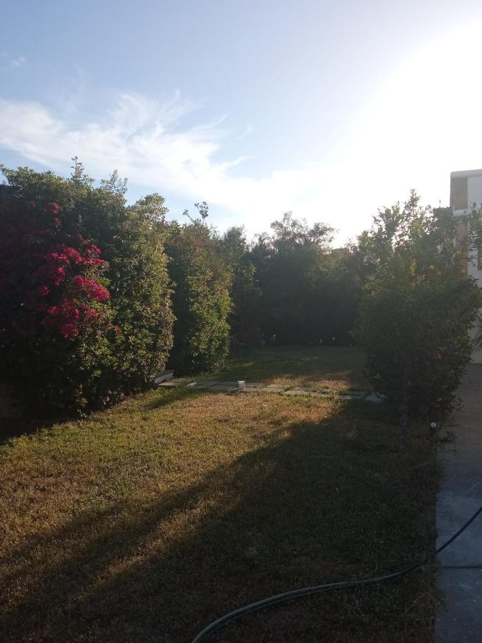Appartement Atheneon Rhodes à Theológos Extérieur photo